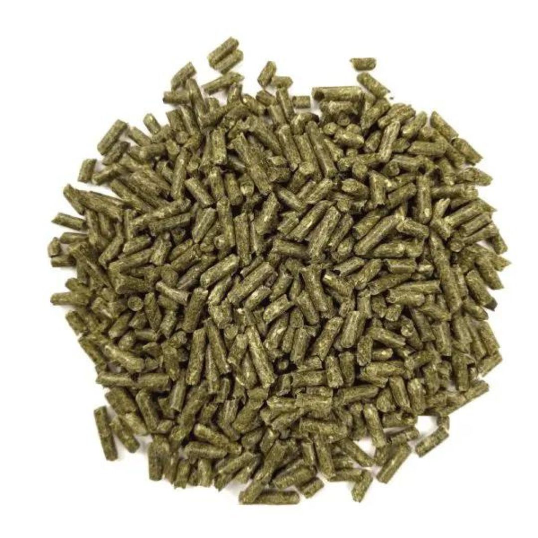 Oxbow Animal Health Essentials Young Guinea Pig Food 10 lb